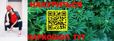 дмт Будённовск
