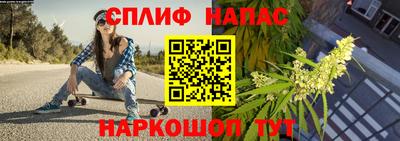 дмт Будённовск