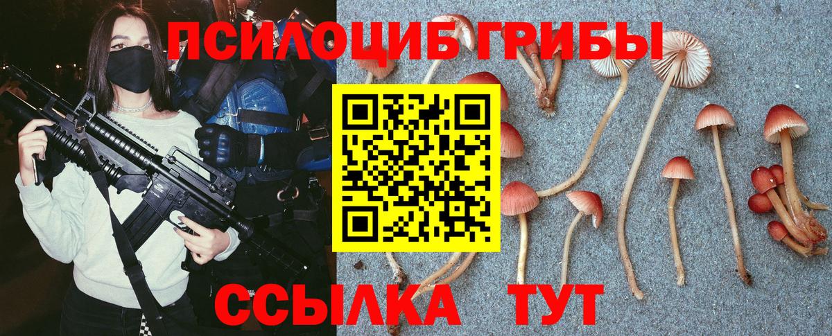 Галлюциногенные грибы GOLDEN TEACHER Черняховск